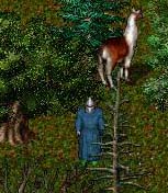 ̖܂Ăꏊɓ